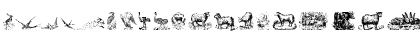 Download Animals Old Cuts Two Regular Font Lowercase Preview