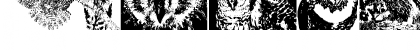 Download AParliamentofOwls2 Regular Font Lowercase Preview