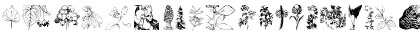 Download Botanicals Regular Font Lowercase Preview