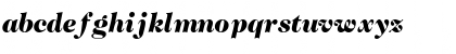 Download CaslonTwoBlackSSK Italic Font Lowercase Preview