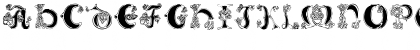 Download Celtic Knot Regular Font Lowercase Preview