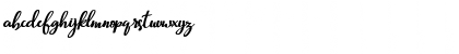 Download Beautiful Script script Font Lowercase Preview