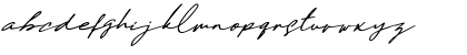 Download Daniels Signature Daniels Signature DEMO Font Lowercase Preview