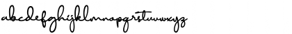Download Diamant handwriting Regular Font Lowercase Preview