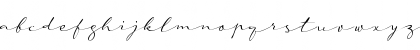 Download a Auto Signature Regular Font Lowercase Preview