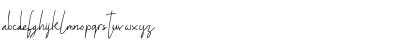 Download ALDITH Script Font Lowercase Preview