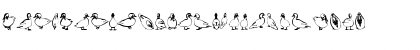 Download Duck Regular Font Lowercase Preview