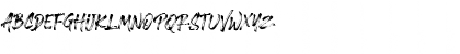 Download Brushlie Demo Regular Font Lowercase Preview