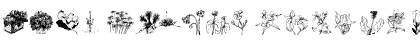 Download wmflowers2 Regular Font Lowercase Preview