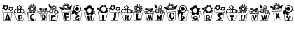 Download CK Flower Pot Regular Font Lowercase Preview