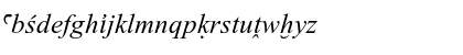 Download Transliteration Italic Font