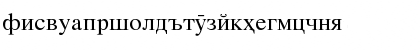 Download X Tajik Times CYR Regular Font Lowercase Preview