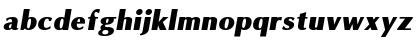 Download Omni Italic Font