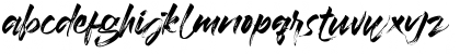 Download Braga Regular Font Lowercase Preview