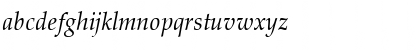 Download Palladius Italic Font Lowercase Preview