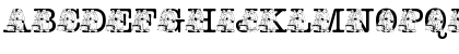 Download pf_i_read003 Regular Font Lowercase Preview