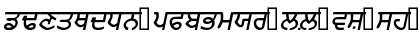 Download PunjabiAmritsarSSK BoldItalic Font Lowercase Preview