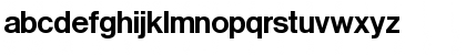 Download Puschkin Regular Font Lowercase Preview