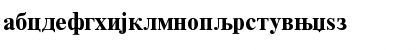 Download RomanCyrillic BoldA Font