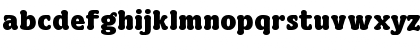 Download TF Simper Serif Bold Font
