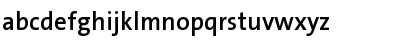 Download TheSans Regular Font