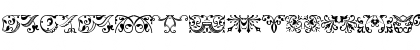Download Baroque Ornaments Regular Font Lowercase Preview