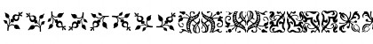 Download FCaslonOrnamentsITC Medium Font Lowercase Preview