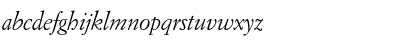 Download Garamond Becker No9 Italic Font Lowercase Preview