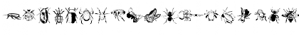 Download Insects Regular Font Lowercase Preview