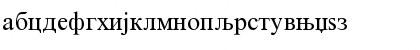 Download Macedonian Tms New Regular Font Lowercase Preview