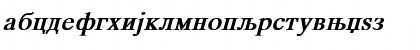 Download MKDTIMES Bold Italic Font