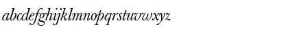 Download Berthold Baskerville Book Italic Font Lowercase Preview