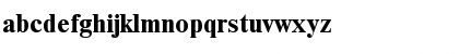 Download NewtonDOSCTT Bold Font