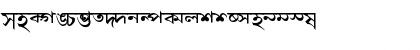 Download AkrutiBngBharati Normal Font Lowercase Preview