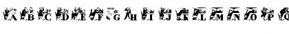 Download AlkoInitials Regular Font Lowercase Preview