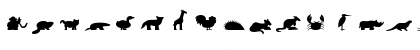 Download Animals Becker Normal Font Lowercase Preview
