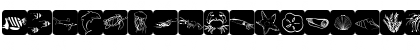 Download AquaMints GD Demo Regular Font Lowercase Preview