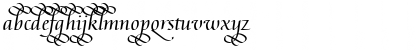 Download Augusta Cancelaresca Swash Regular Font Lowercase Preview