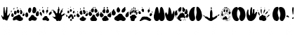 Download AnimalTracks Regular Font Lowercase Preview