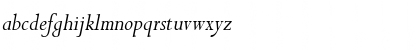 Download Compleat SSi Italic Font Lowercase Preview