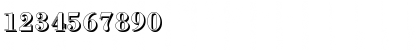 Download BodoniShadow Bold Font Numeric Preview