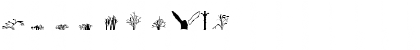 Download BOTAROSA1 Regular Font Numeric Preview