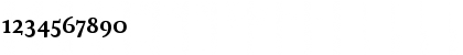 Download AtmaSerif-BoldRomanMC Regular Font Numeric Preview
