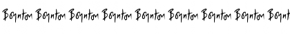 Download Boynton Bats Regular Font Numeric Preview