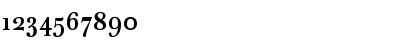 Download Baskerville Ten Pro Bold Font Numeric Preview