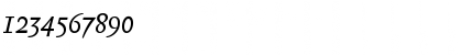 Download Biblon OT Italic Font Numeric Preview