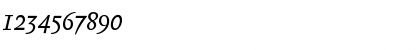 Download Biblon ITC Std Italic Font Numeric Preview