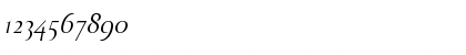 Download Bodebeck LT Std Italic Font Numeric Preview