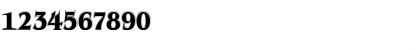 Download Brian James Contour Regular Font Numeric Preview