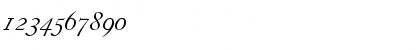 Download CaslonH-Italic Regular Font Numeric Preview